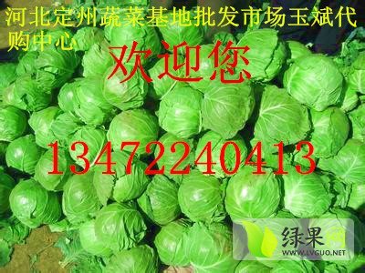 2014年河北定州中甘21甘蓝价格