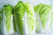 山东滕州强势白菜 适合菜场批发零售