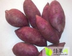山东汶上产地供应红薯价格为0.85元
