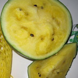 特小凤价格
