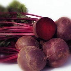 江苏丰县5月供应洋葱 晚熟品种