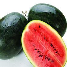 广西江洲黑美人：驮卢镇吴红忠