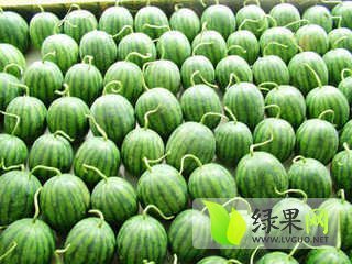 2014年河北饶阳京欣价格