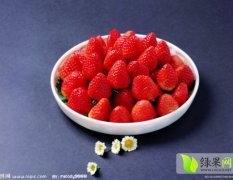河北清苑万亩丰香草莓5月上市