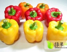 山东寿光灯笼椒 彩椒：山东省寿光市蔬菜物流园