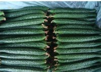 黄瓜，西葫芦，无丝豆，茄子，辣椒