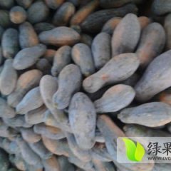 广西西乡塘金韩密本南瓜5月开始供应