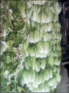 2014年山东兰陵金峰价格