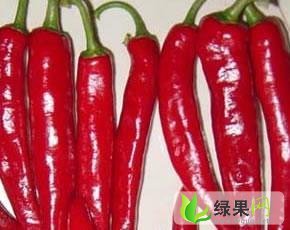 山东金乡三樱金塔天宇：鸡黍镇宗涛