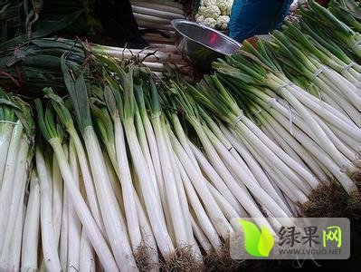 2014年山东岱岳铁杆大葱价格