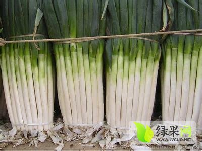 2014年山东安丘铁杆大葱价格