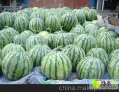 山东平度京欣：明村镇苗松山