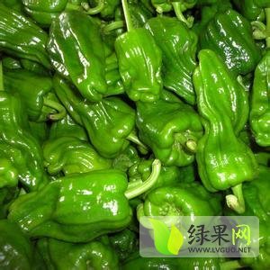 2014年辽宁北镇薄皮麻辣价格