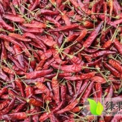 山东曹县现有大量干辣椒急需出售