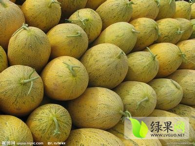 2014年陕西蒲城新甘蜜宝价格