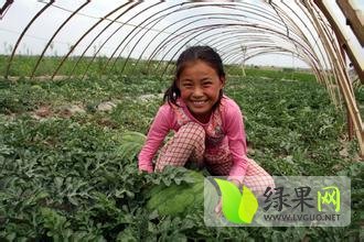 辽宁凌海华欣863：五一上永盛