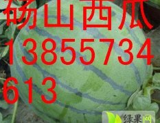 安徽砀山产地5月上旬供应各品种西瓜