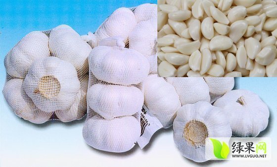 2014年河南通许金乡大蒜价格