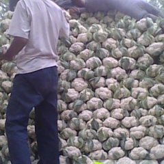 山东禹城春秀：市中办孟先生