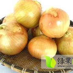 山东郯城黄皮洋葱 货源稳定 价格合理