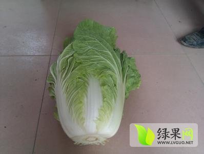 阳春价格