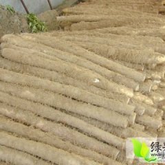 湖北宜城现有大量九斤黄山药供应