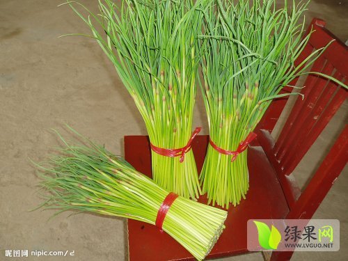 2014年河南中牟蒜薹价格