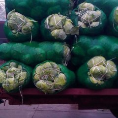 湖北嘉鱼佳利：潘家湾吕平