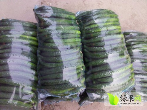 2014年河南夏邑中农106黄瓜价格