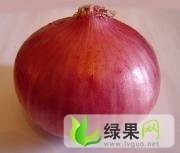 一万余亩黄皮洋葱上市中