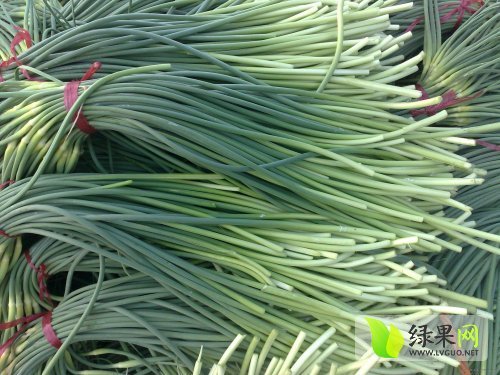 2014年山东金乡蒜薹价格