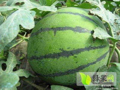 京欣系列价格