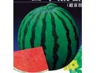 长春大富农供应京欣西瓜种子