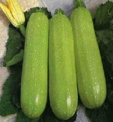 2014年河南博爱郑研豫冠价格