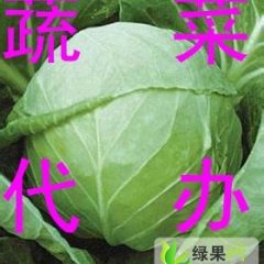 陕西三原8398甘蓝