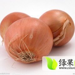 河南新野黄皮洋葱种植面积广