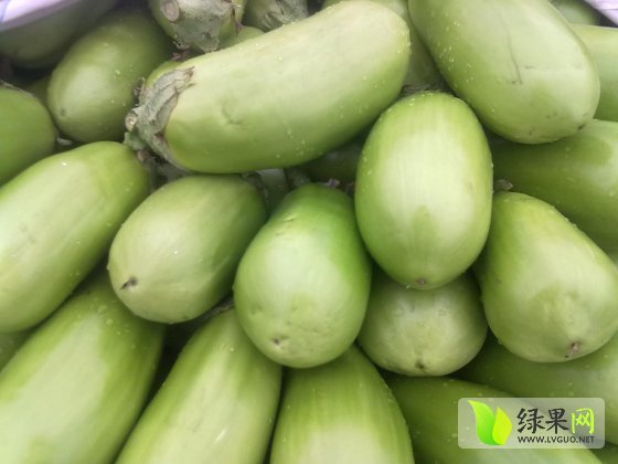 2014年河南南阳青皮茄子价格