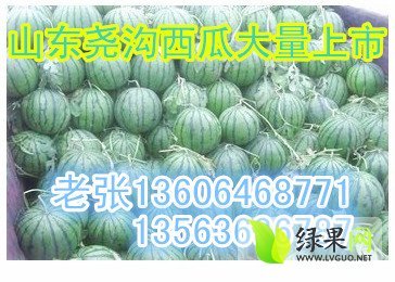 2016年山东昌乐京欣价格