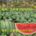 山东济阳京欣：太平镇王绍礼