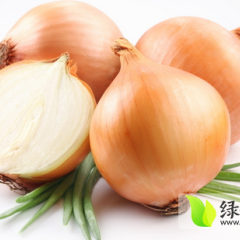 河南新野黄皮洋葱：樊集乡赵庆丰