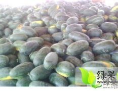 湖北宜城黑美人：流水镇无名