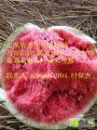 山东昌乐产地代办无公害甜王西瓜