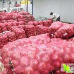 山东巨野红皮洋葱：核桃园李伟