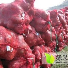 云南洱源红皮洋葱价格便宜0.5元/斤