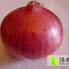 长期办理 代收 代买 代存红皮洋葱