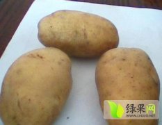 山东滕州地膜土豆：大坞镇