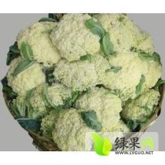 白面青梗松花菜货源充足?，价格随行就市