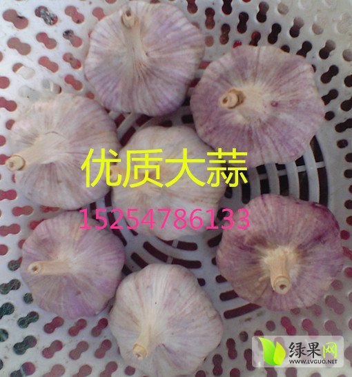2014年山东金乡金乡大蒜价格