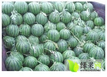 2014年江苏睢宁京欣价格