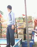 荷兰十五价格
